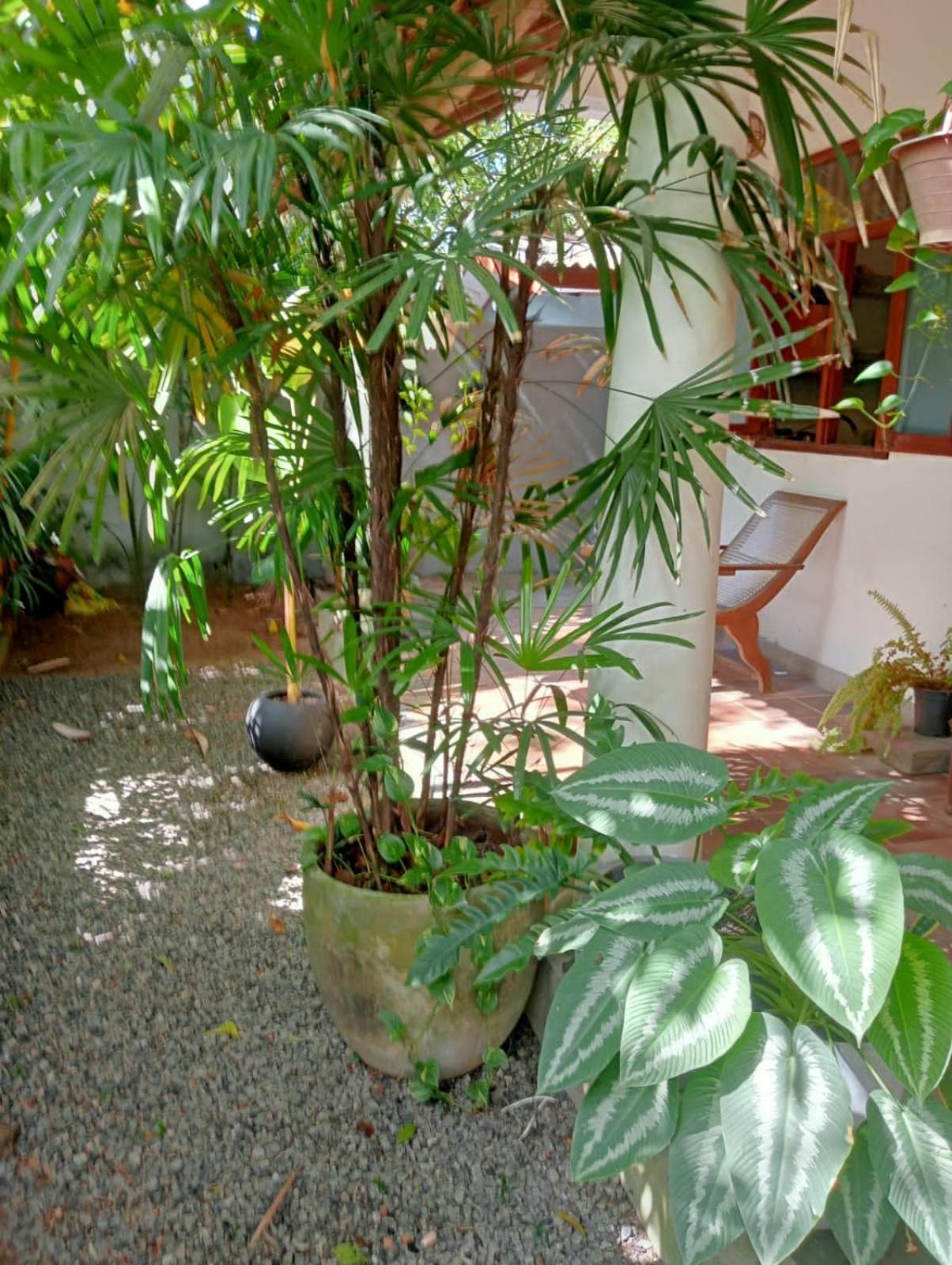 New Villa Unawatuna Zewnętrze zdjęcie